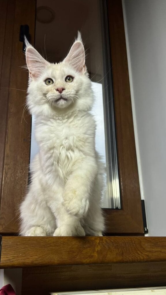 Photo 2025 11 30 10 51 01