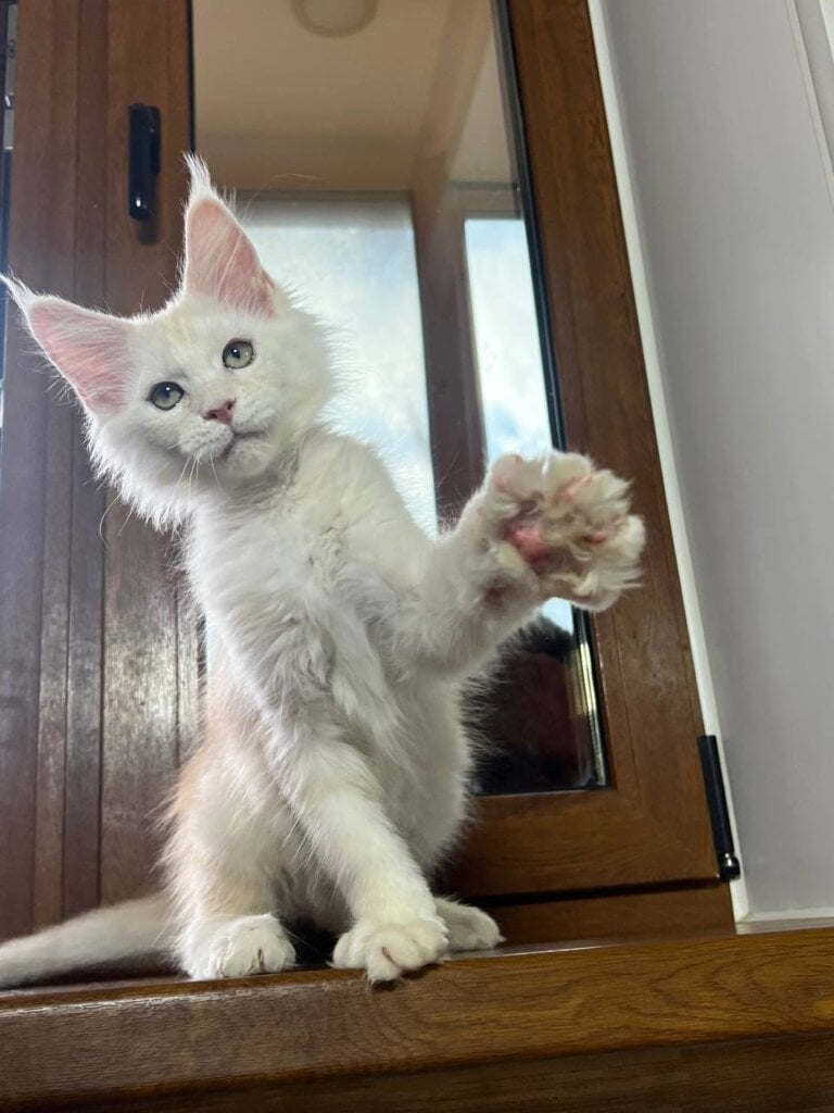 Photo 2025 11 30 11 17 19