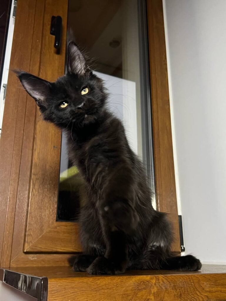 Photo 2025 11 30 11 21 03