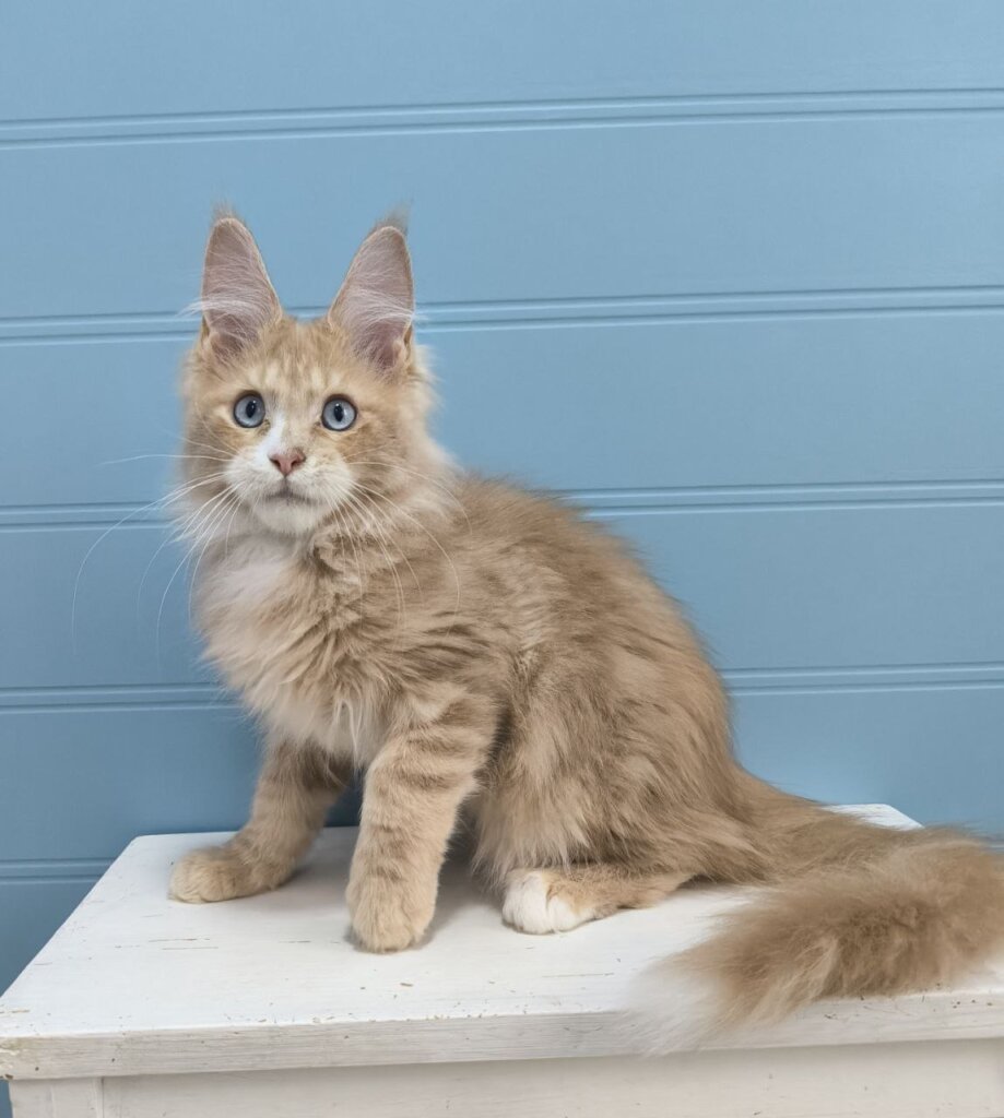 Photo 2025 12 12 17 38 54