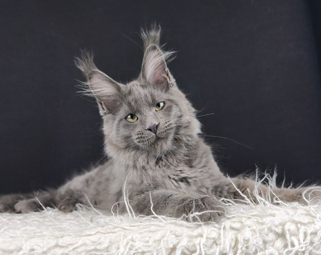 Photo 2025 12 16 16 51 30