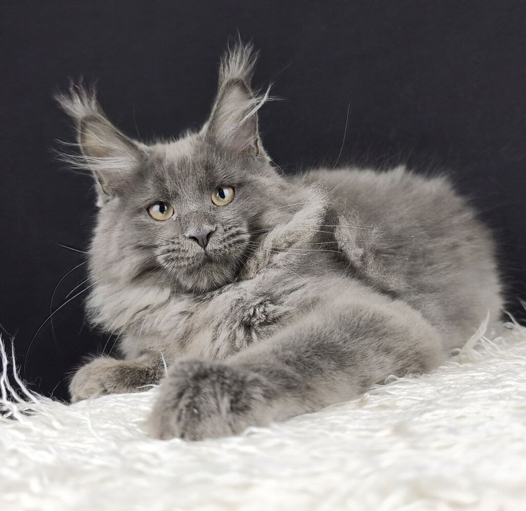 Photo 2025 12 16 16 52 38 3