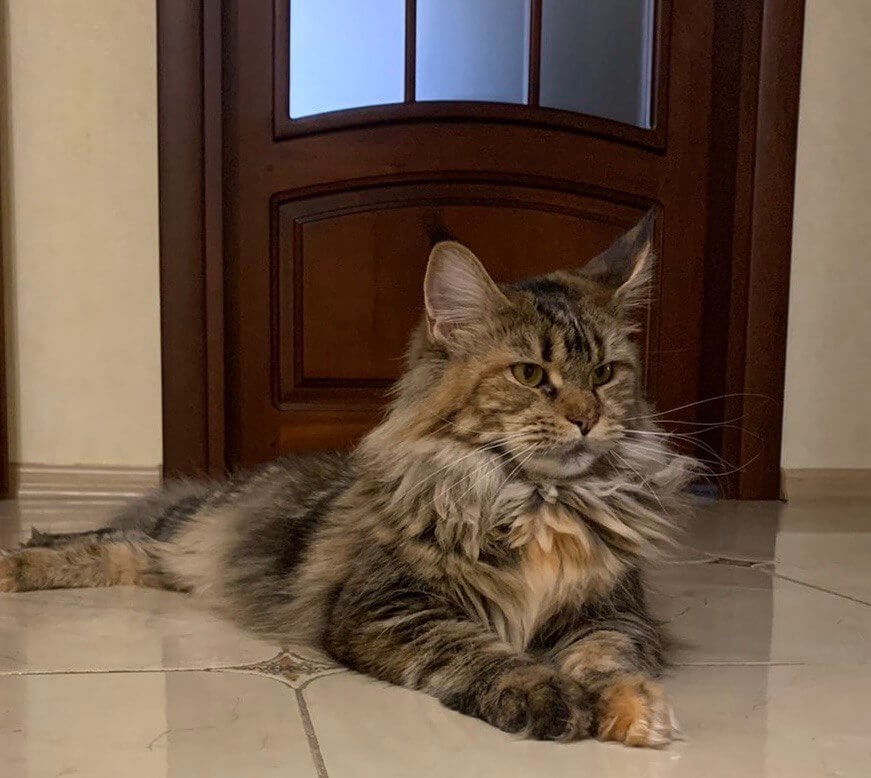 Photo 2025 12 18 22.04.10