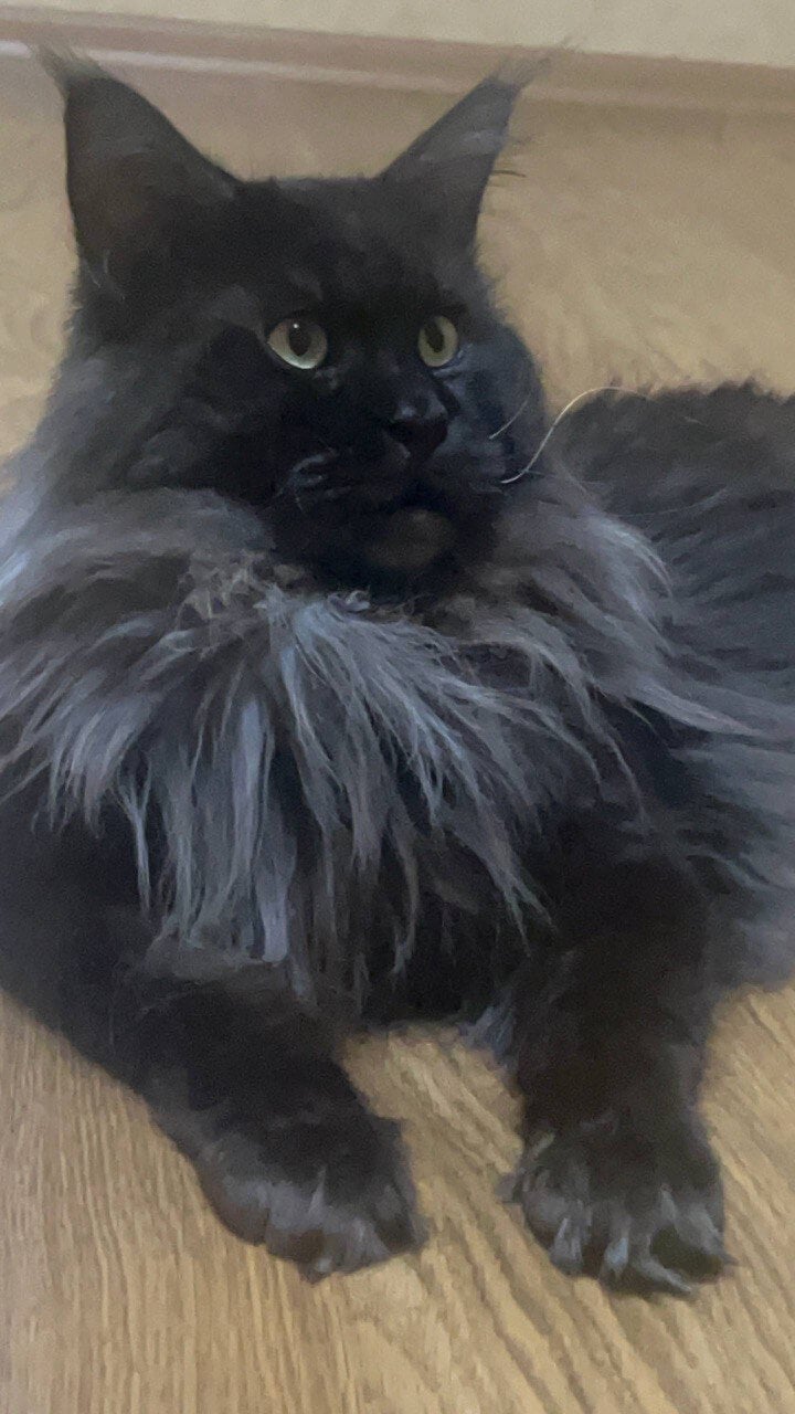 Photo 2025 12 18 22.04.16