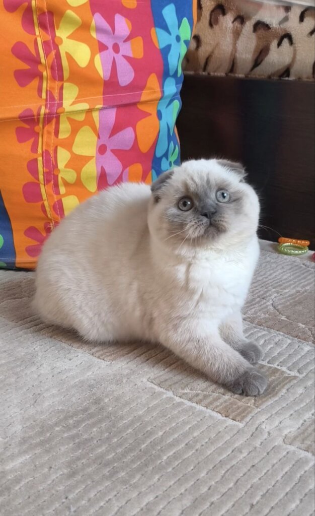 Photo 2025 12 18 14 39 14