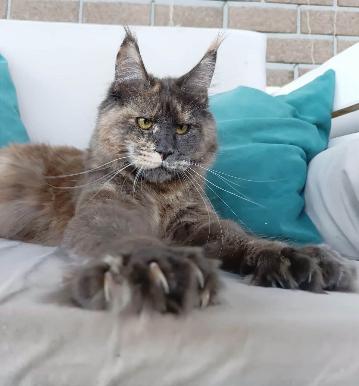 Photo 2025 12 18 21 05 23