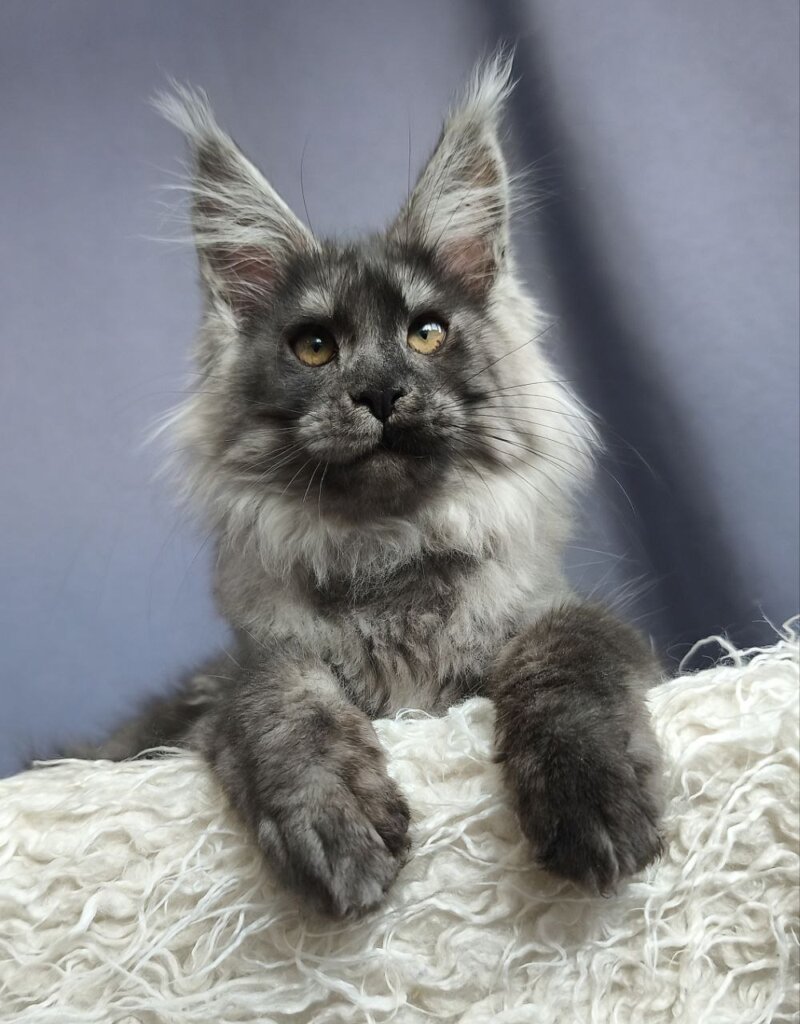 Photo 2025 12 23 19 55 11