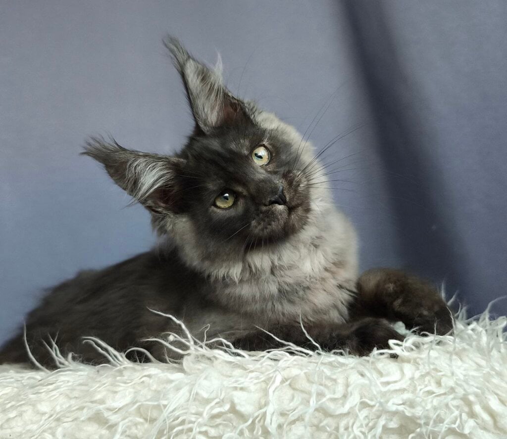 Photo 2025 12 23 19 56 16 2