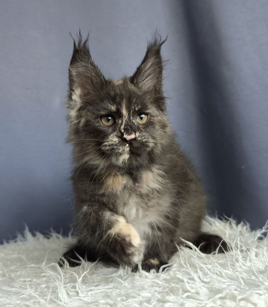 Photo 2025 12 23 19 57 14