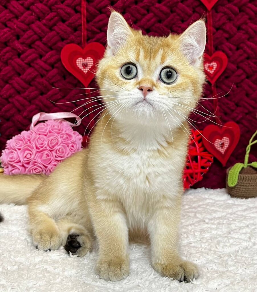 Photo 2026 01 19 14 22 07