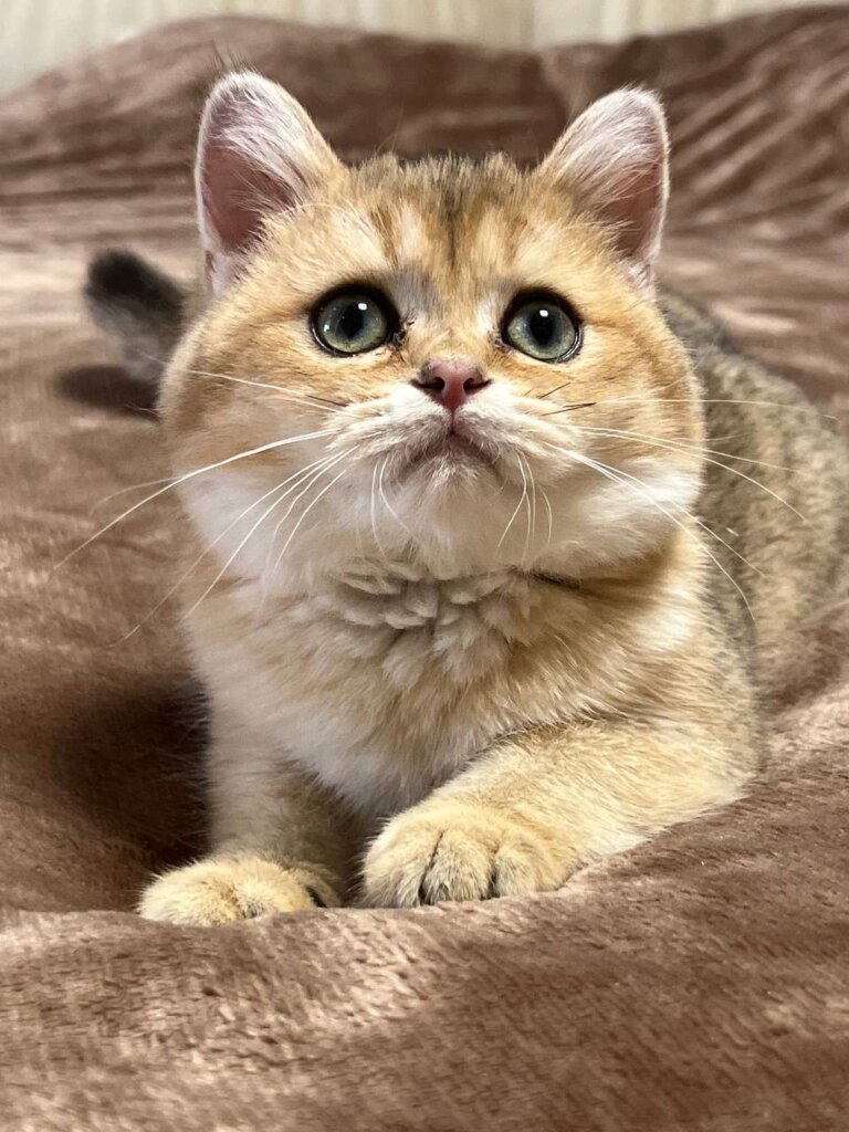 Photo 2026 01 28 14 39 30