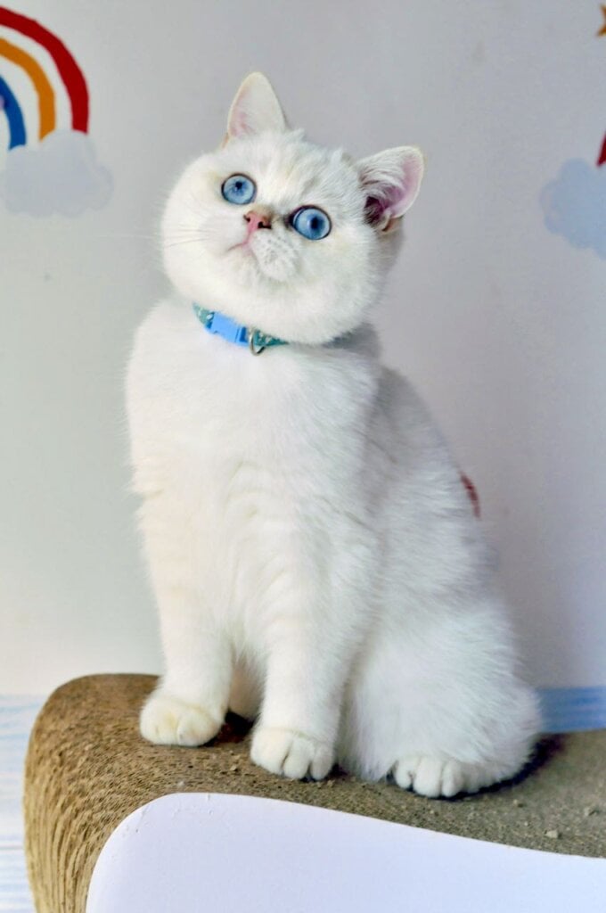 Photo 2026 02 19 20 26 01 4