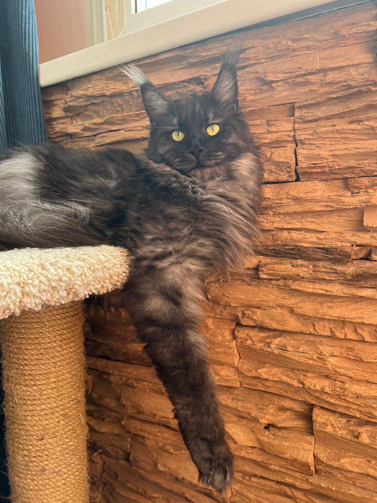 изображение Viber 2025 11 26 17 11 55 201