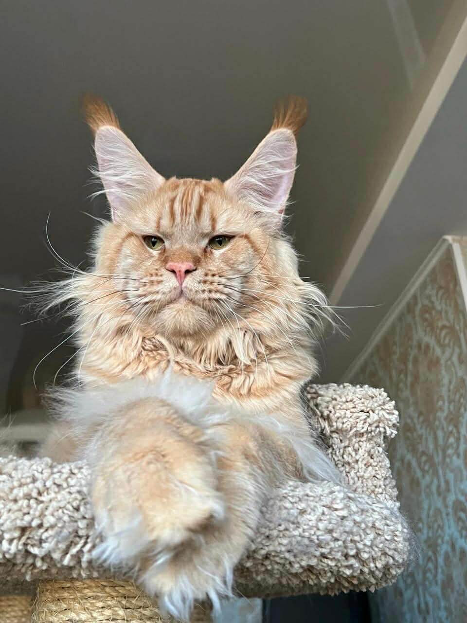 изображение Viber 2025 11 26 17 11 55 627