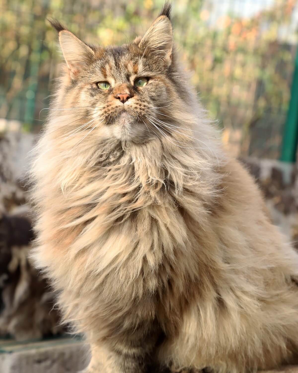 изображение Viber 2025 11 27 14 47 22 874