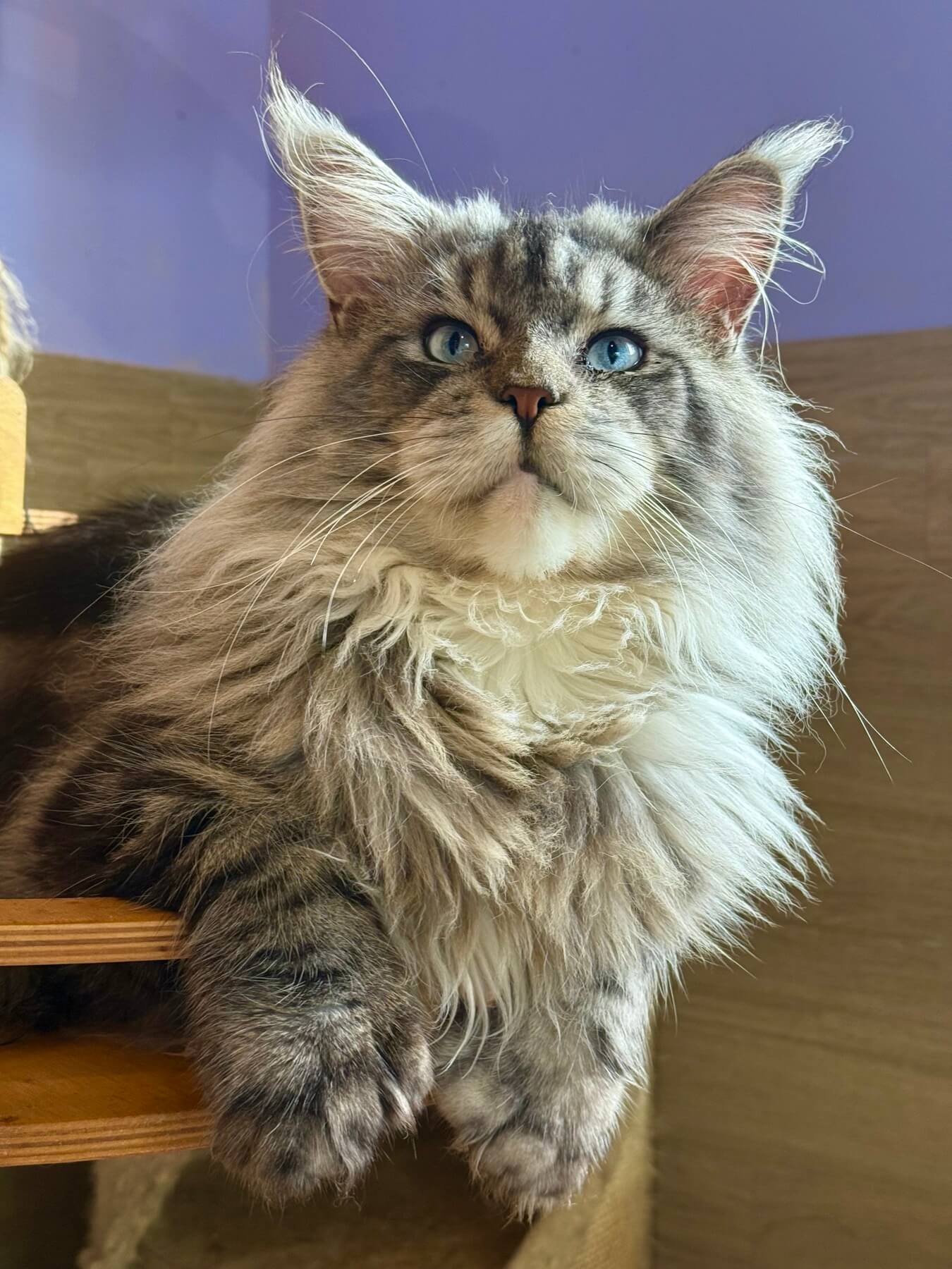 изображение Viber 2025 11 27 14 47 56 042