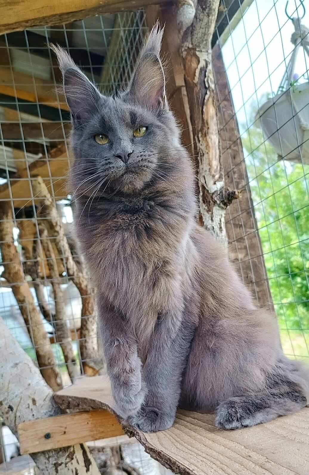 изображение Viber 2025 11 27 20 05 01 277