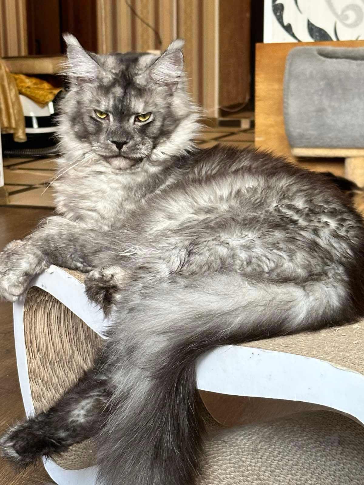 изображение Viber 2025 12 18 21 01 06 802