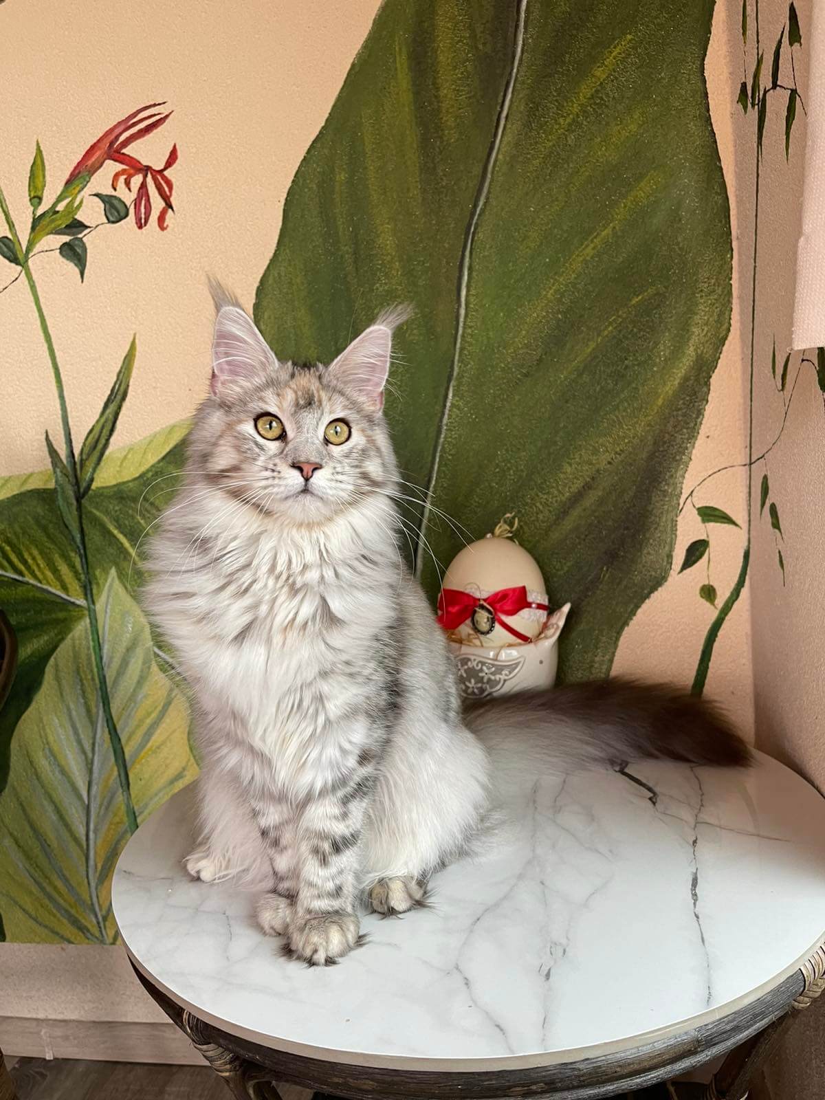 изображение Viber 2025 12 18 21 01 08 524