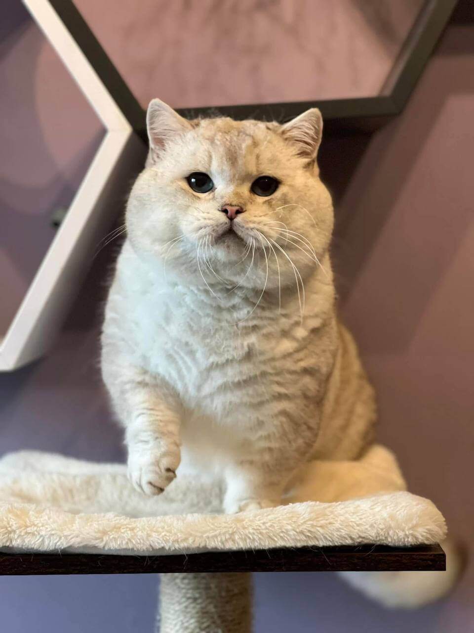 Photo 2025 11 01 18 31 02