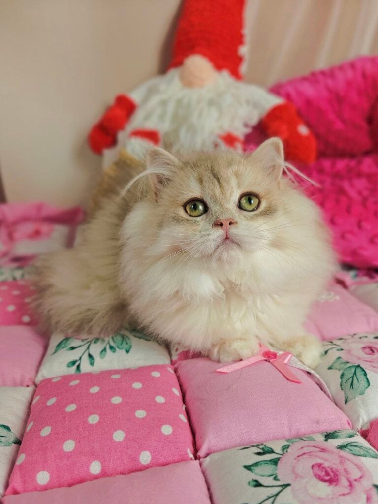 Photo 2025 12 04 13 03 26 2