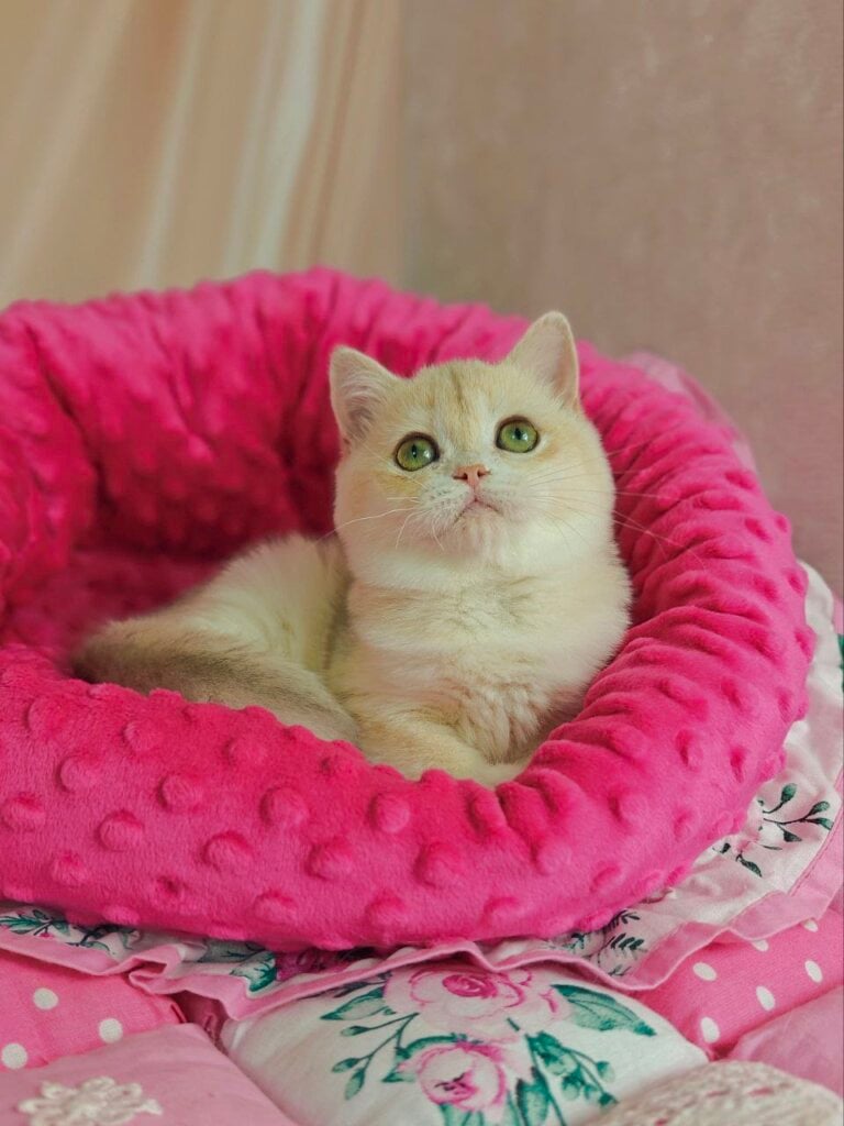 Photo 2025 12 04 13 04 41 4