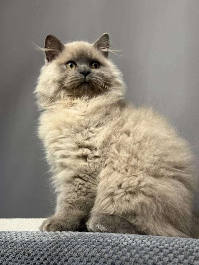 Photo 2025 12 04 19 24 45