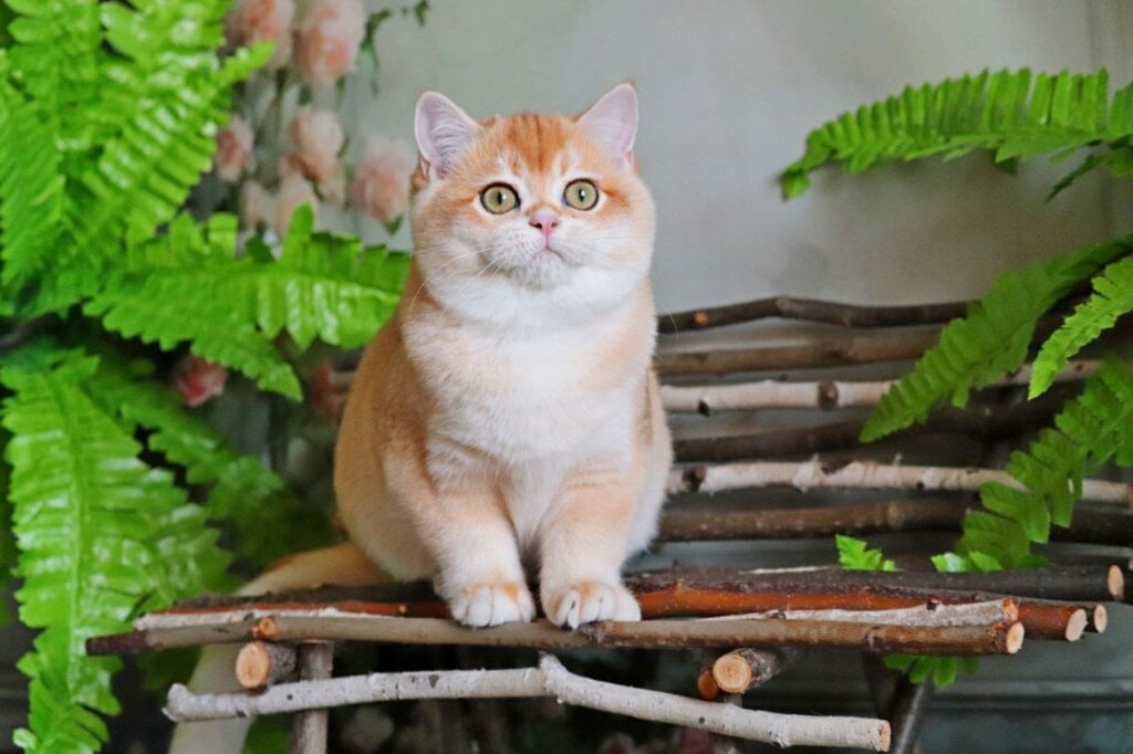 Photo 2025 12 04 20 51 03