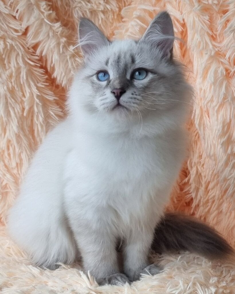 Photo 2025 12 04 22 08 42