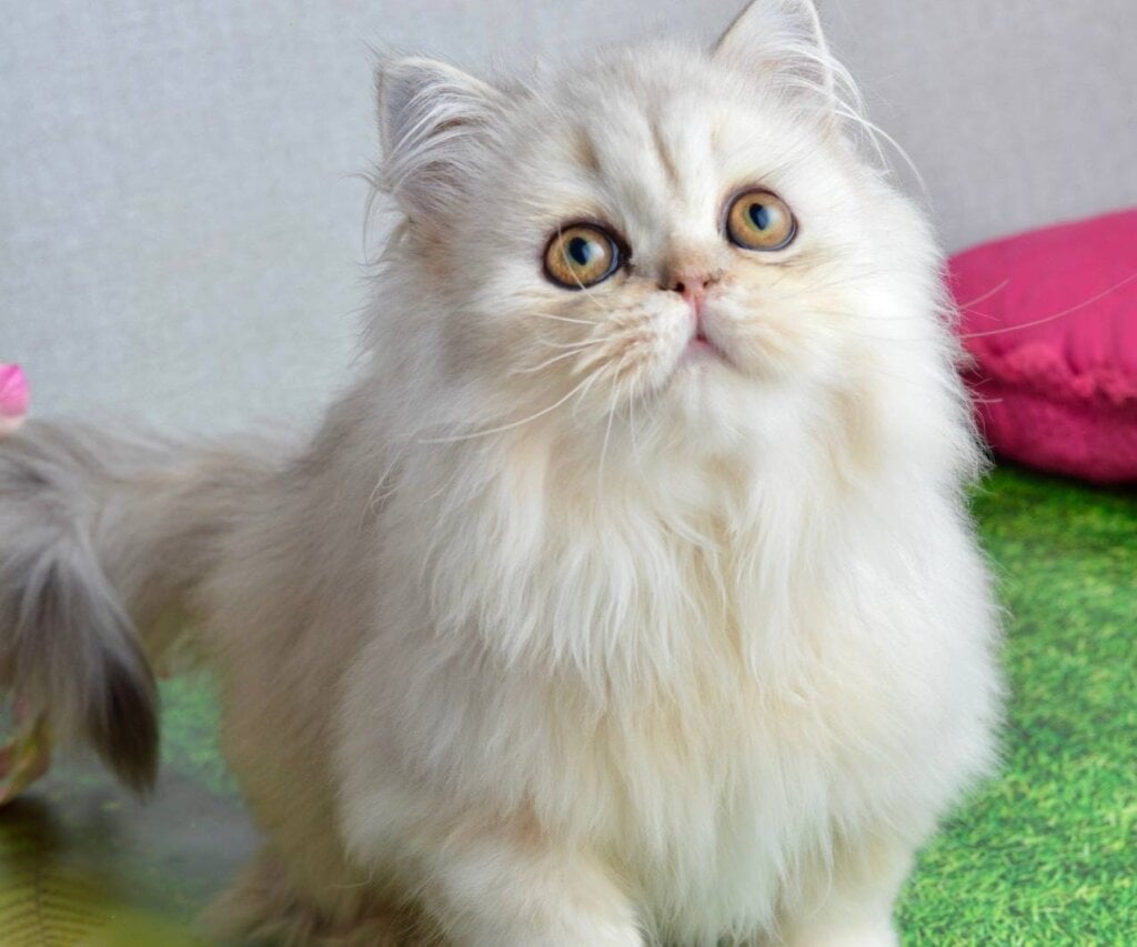 Photo 2025 12 05 18 38 50 2