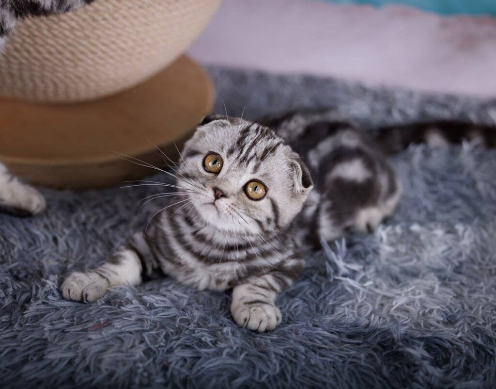 Photo 2025 12 06 11 56 10