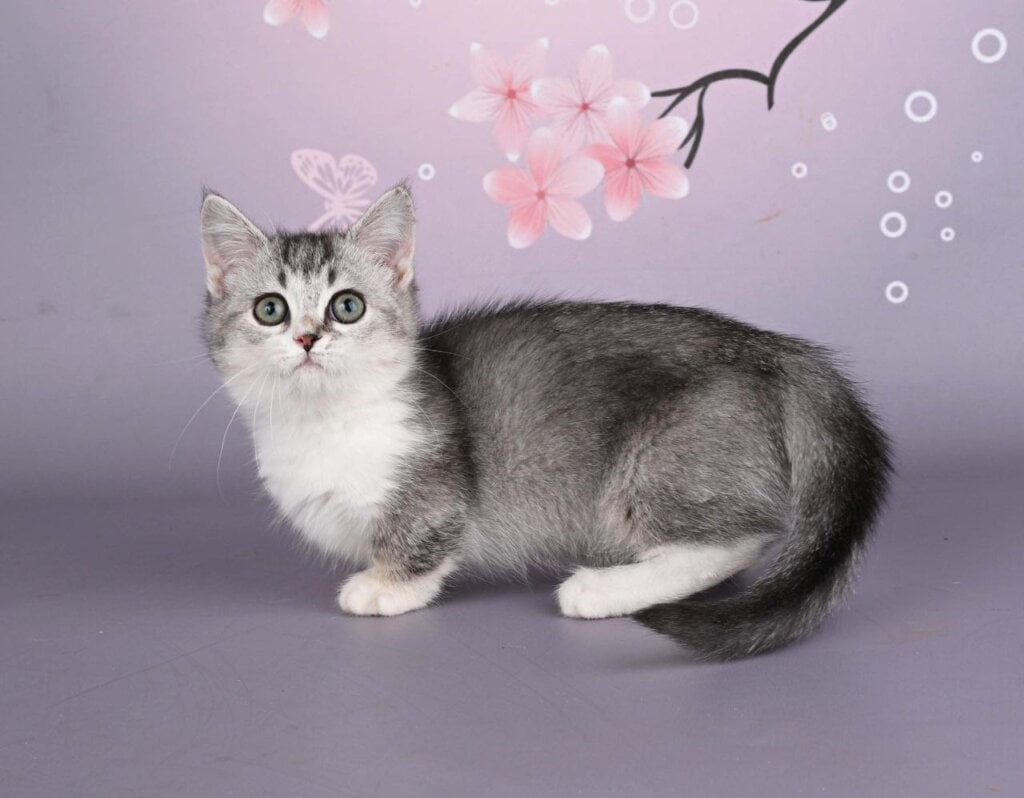 Photo 2025 12 06 14 31 36