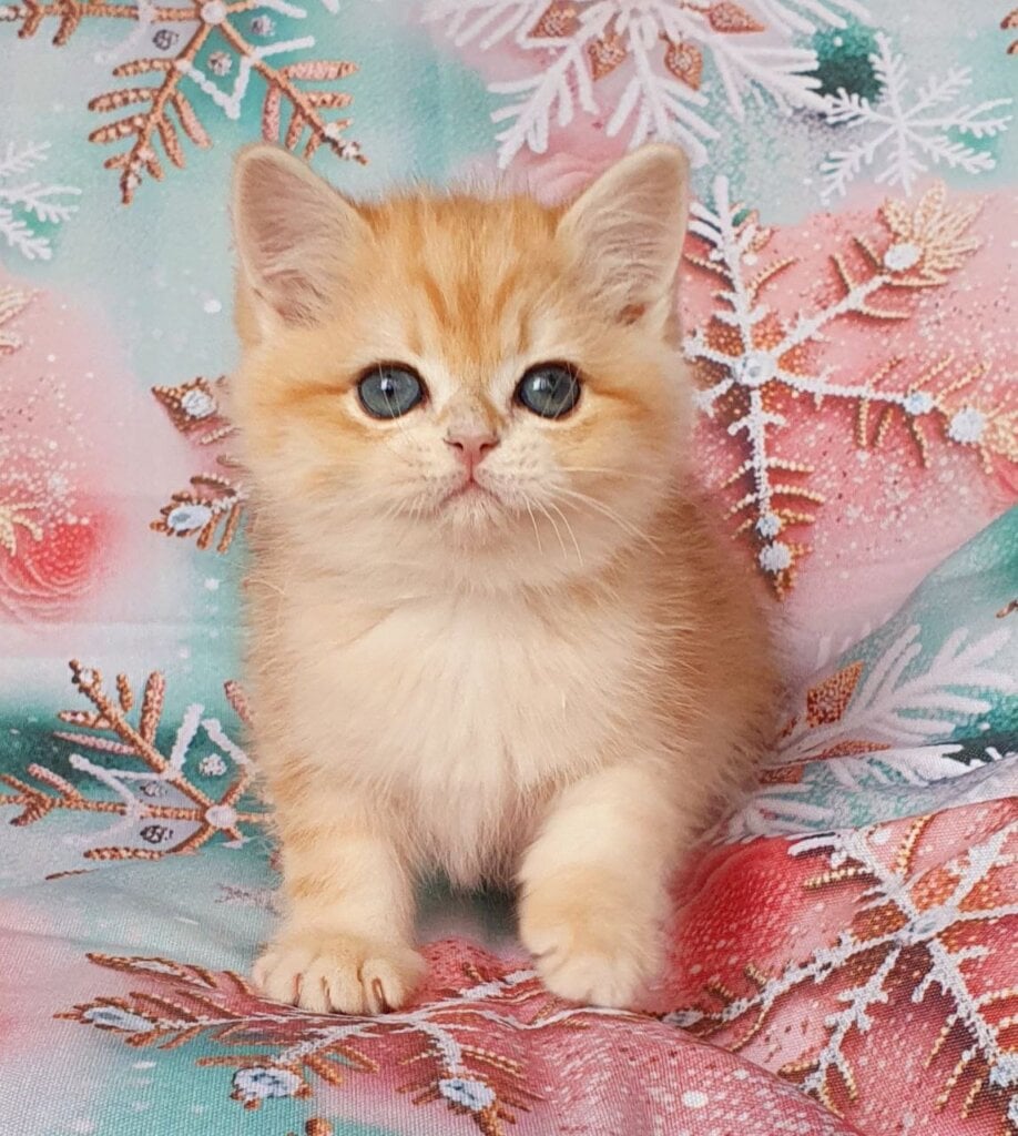 Photo 2025 12 07 13 05 30 2