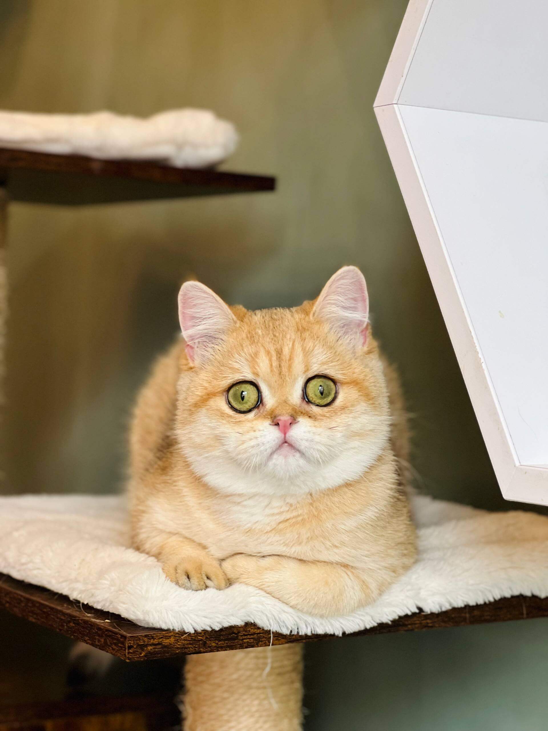 Photo 2025 12 07 18 39 58