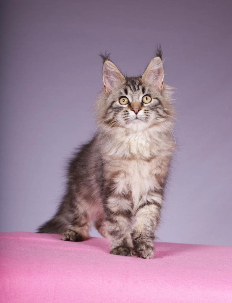 Photo 2025 12 07 20 05 45