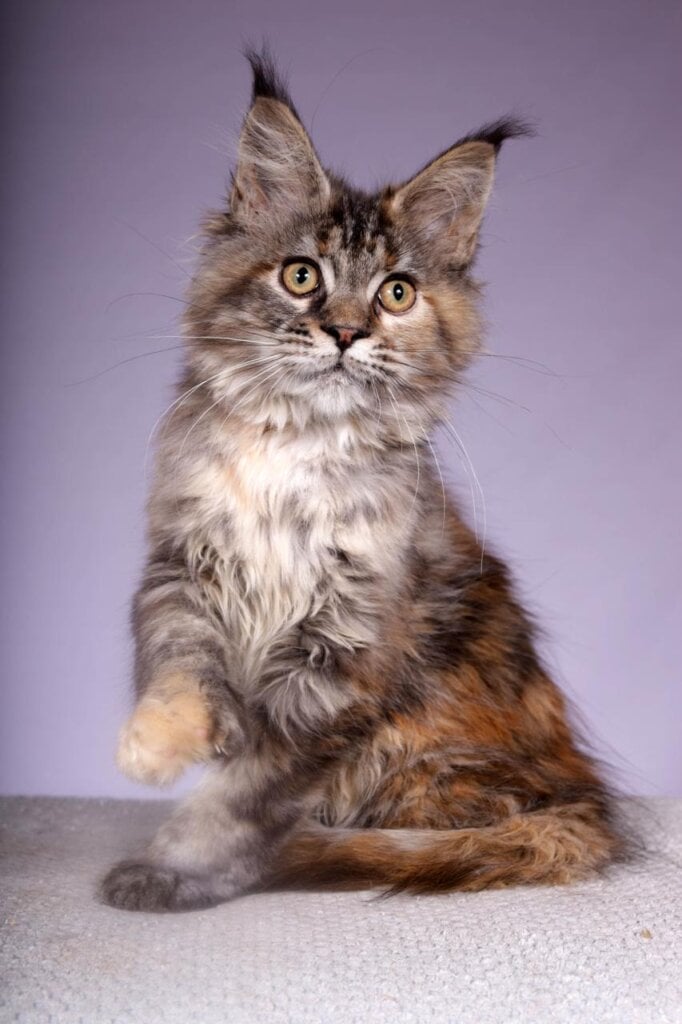 Photo 2025 12 07 20 18 28