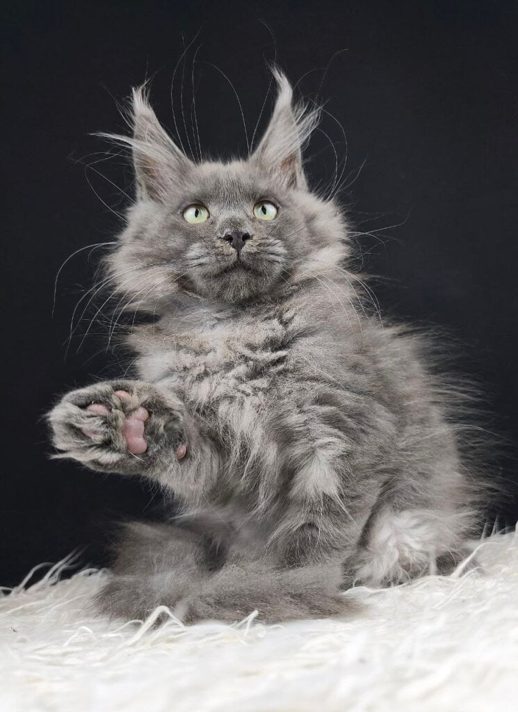 Photo 2025 12 07 23 04 11