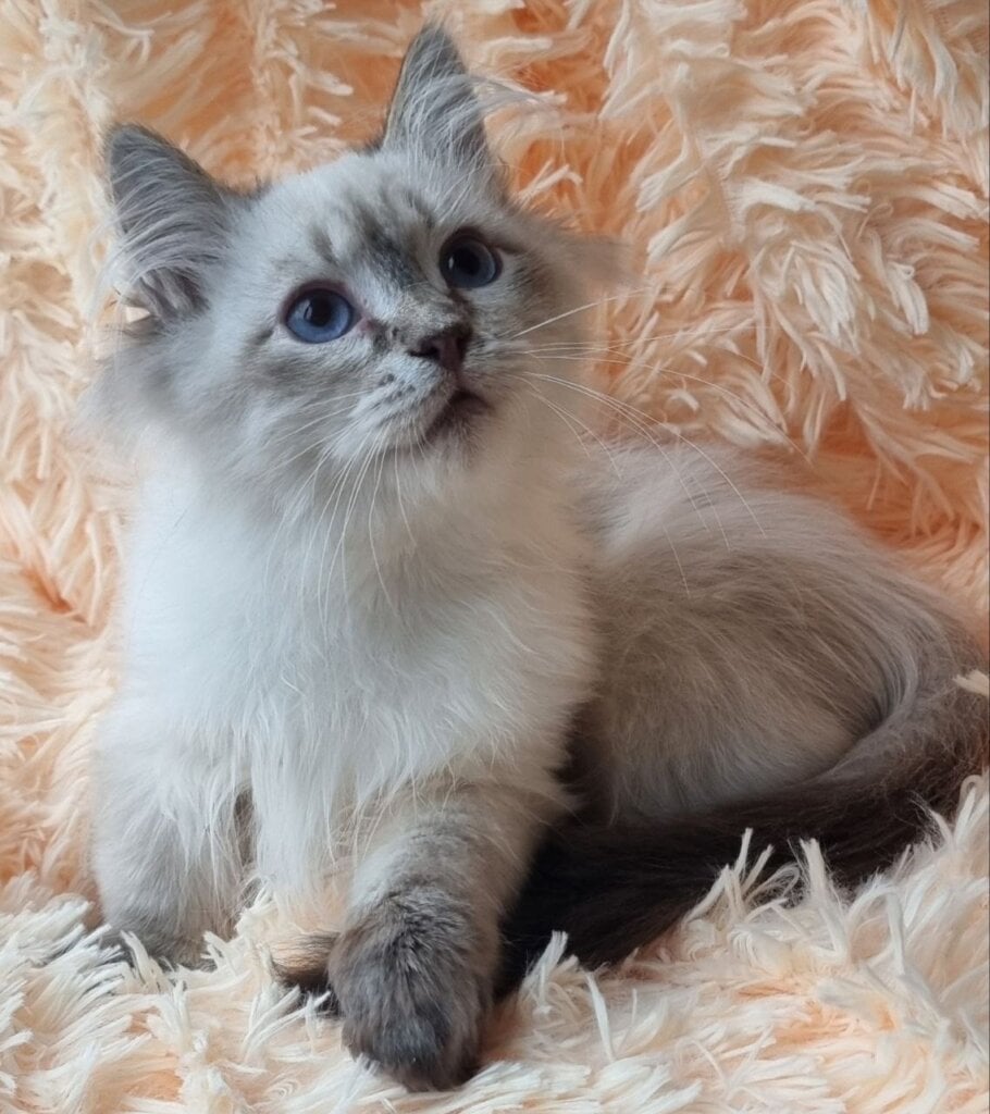 Photo 2025 12 07 23 36 16 4