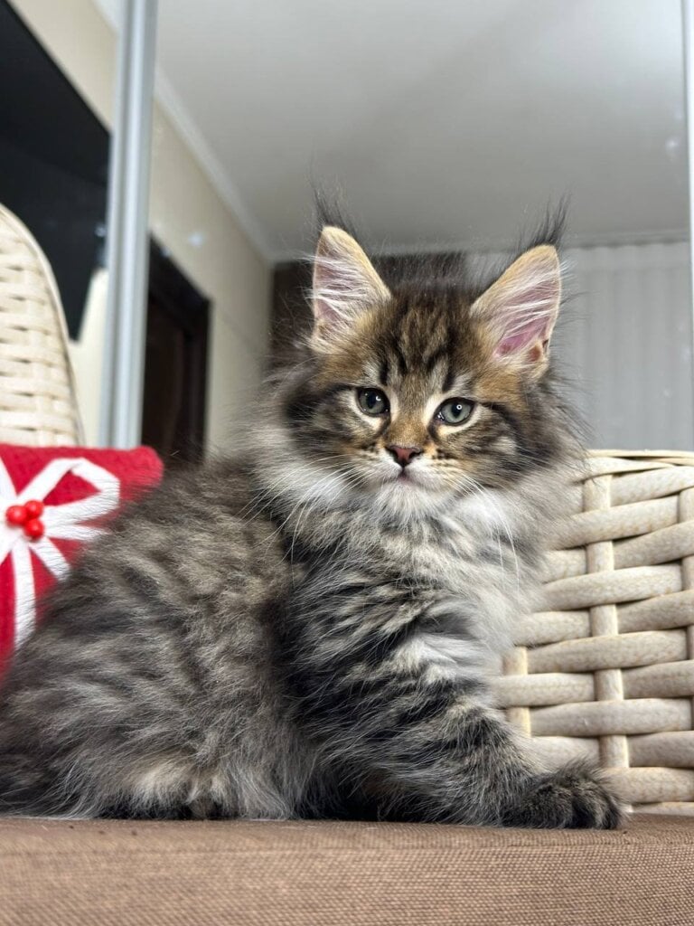 Photo 2025 12 08 14 19 13