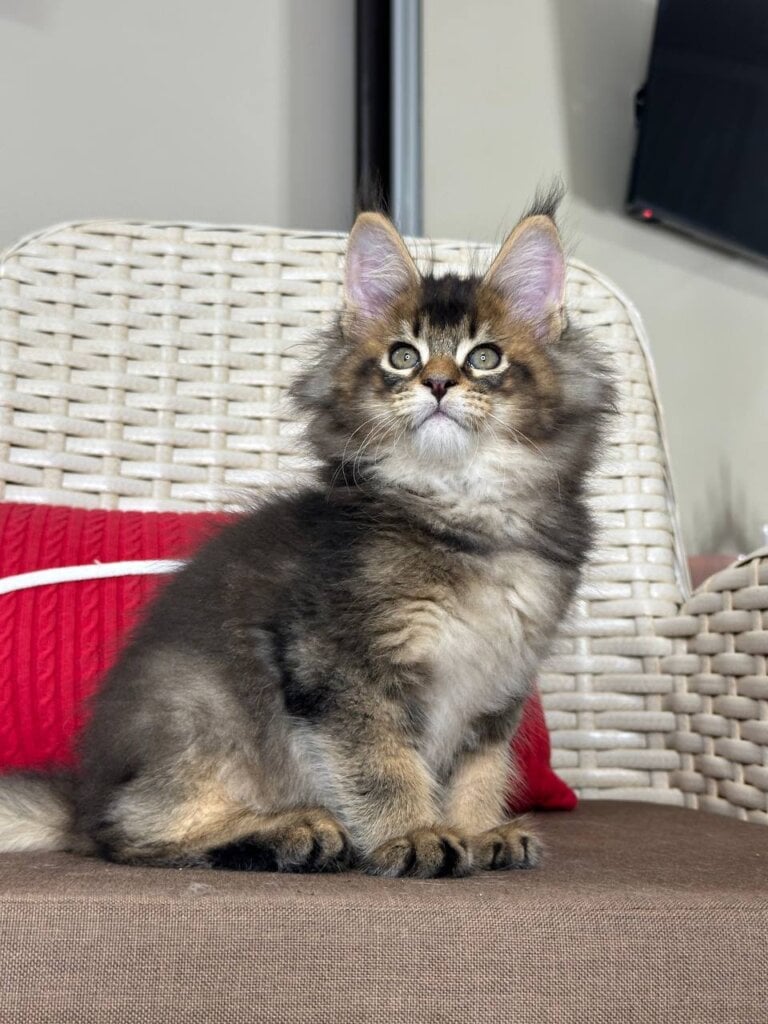 Photo 2025 12 08 14 25 16