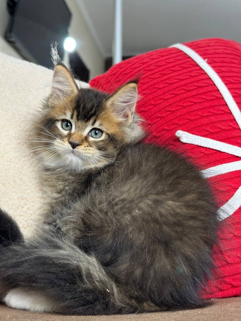 Photo 2025 12 08 14 39 22