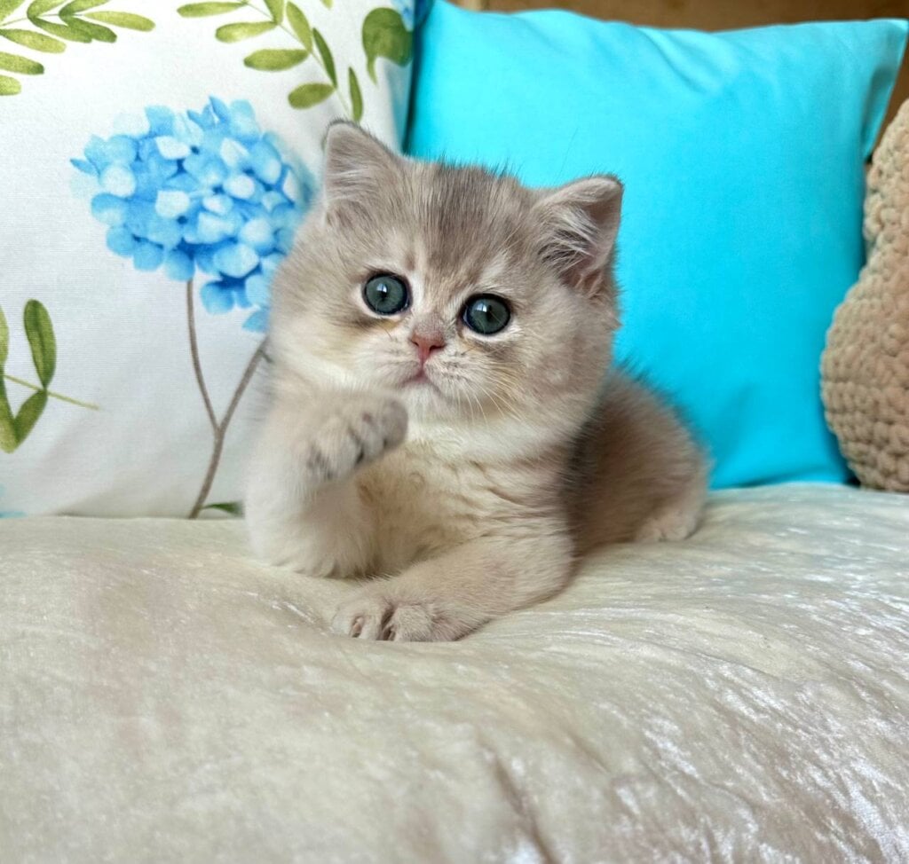 Photo 2025 12 08 15 14 19