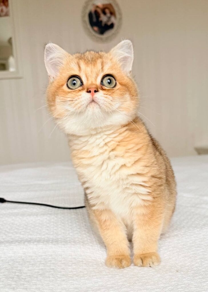 Photo 2025 12 08 15 21 34