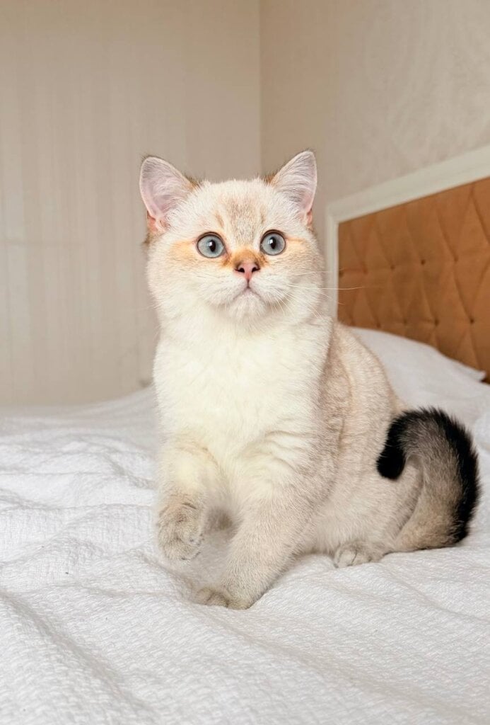 Photo 2025 12 08 15 23 21 2