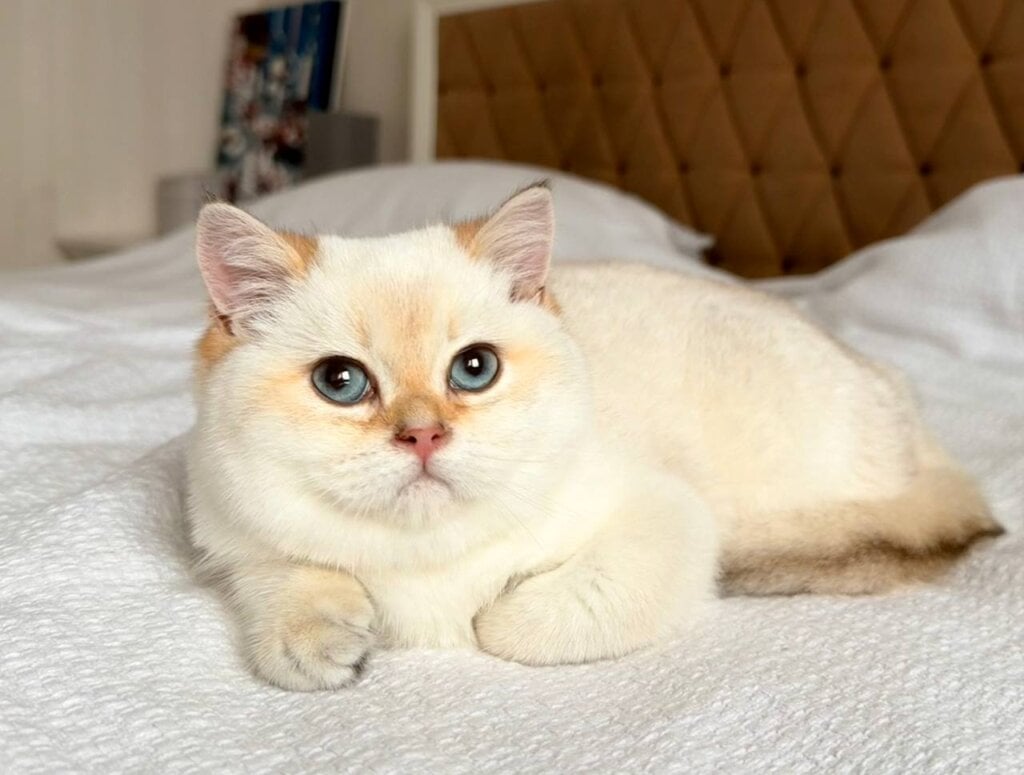 Photo 2025 12 08 15 24 31