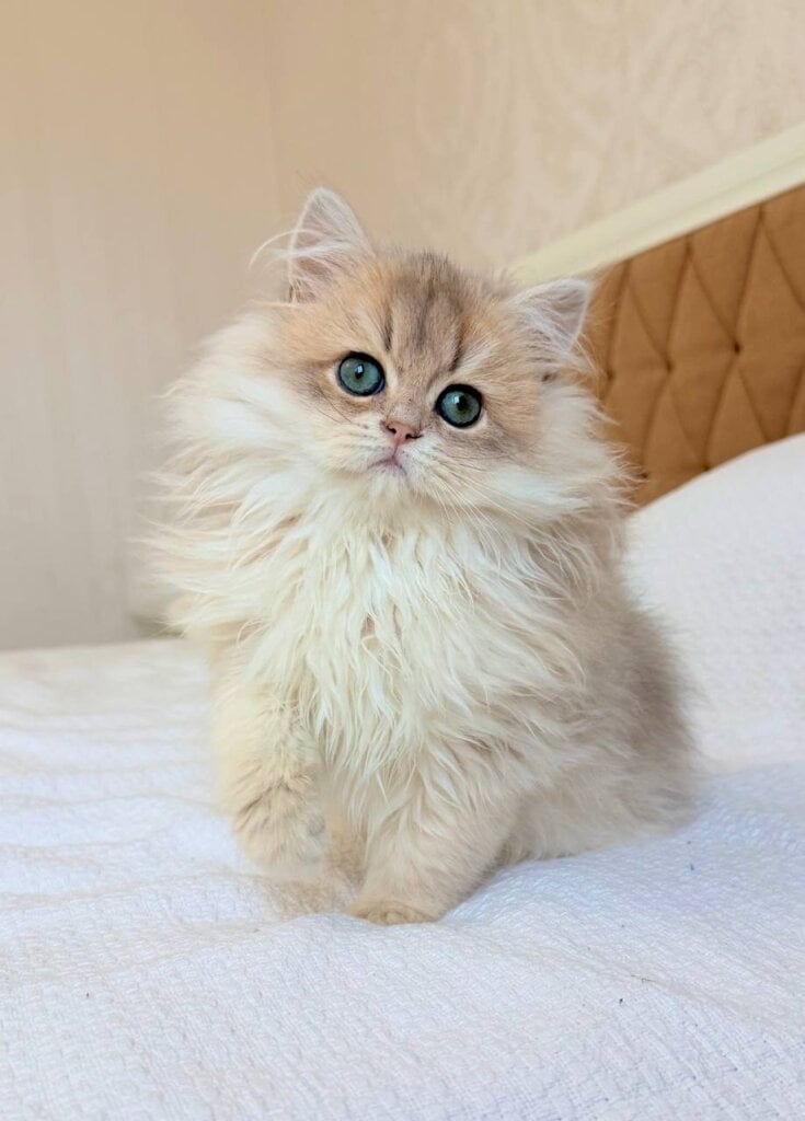 Photo 2025 12 08 15 26 27 2