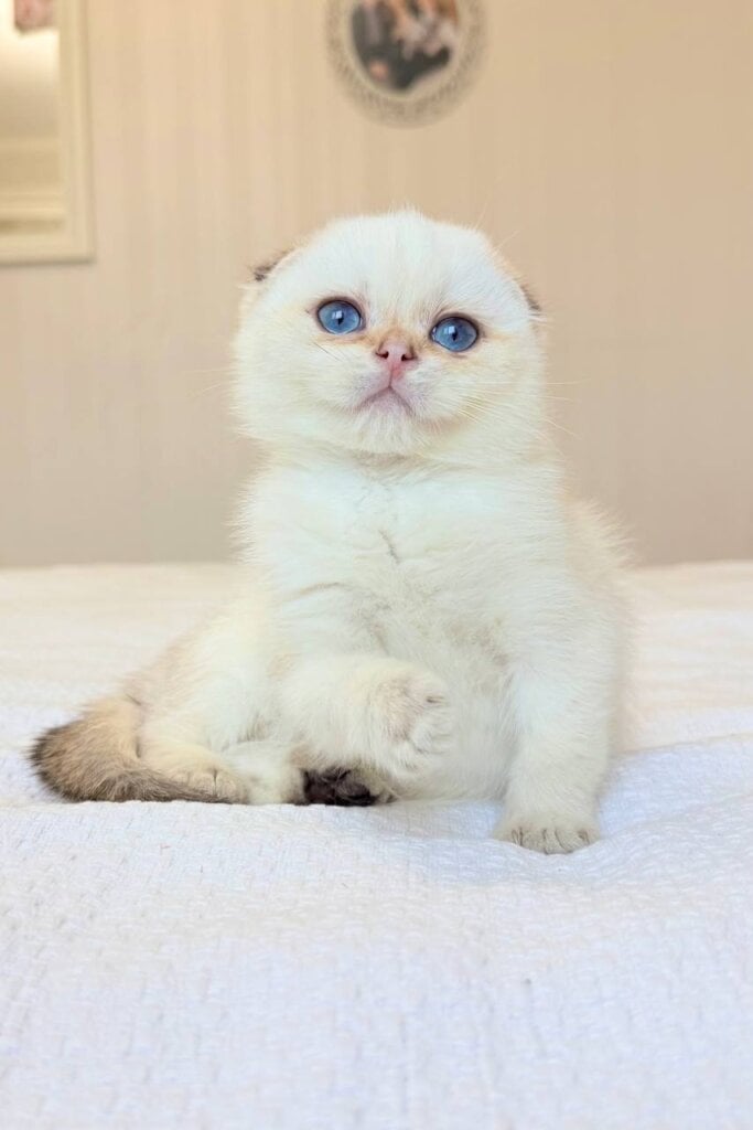 Photo 2025 12 08 15 30 05