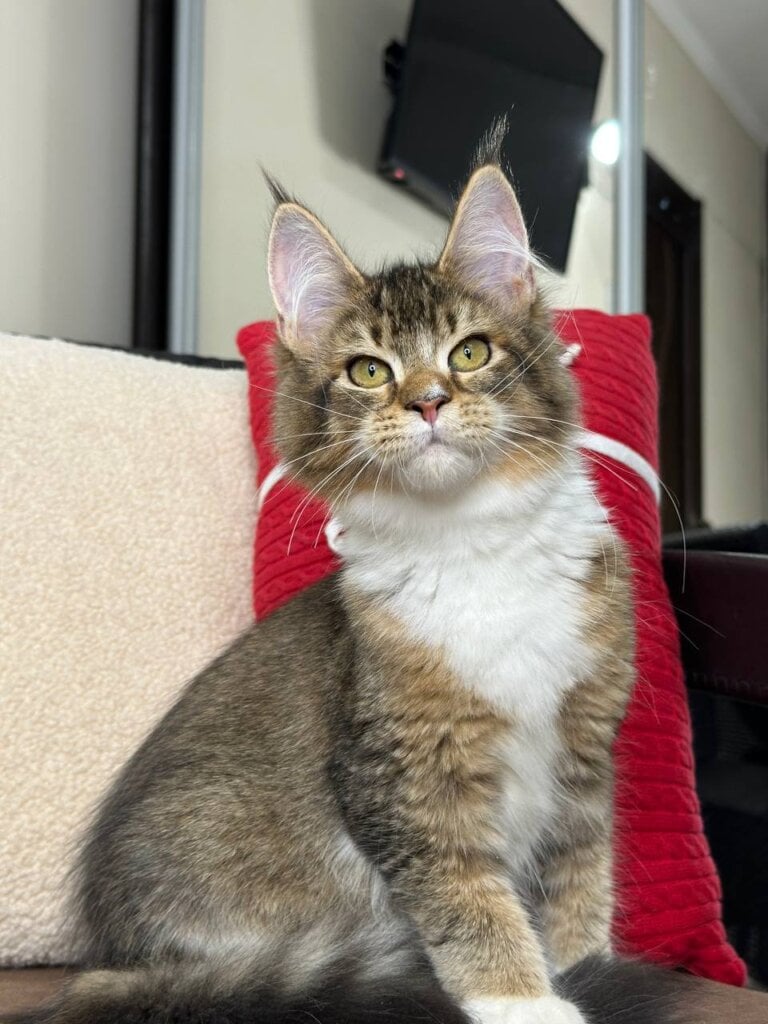 Photo 2025 12 08 15 55 22