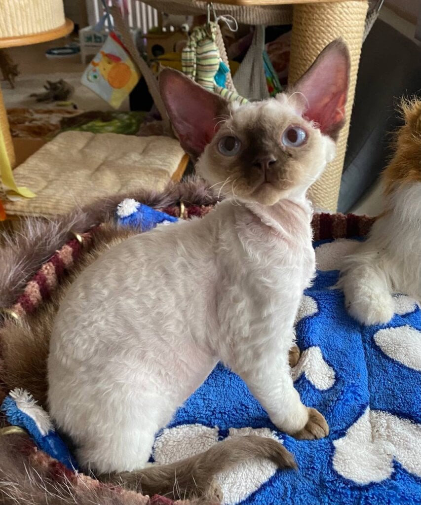 Photo 2025 12 08 20 31 46