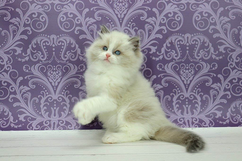 Photo 2025 12 12 14 54 01